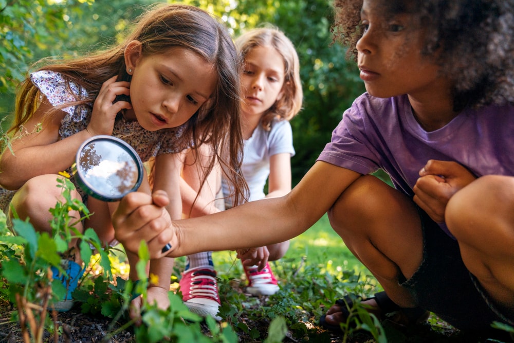 Three children are squatted down on the ground, looking at a green plant through a magnifying glass.