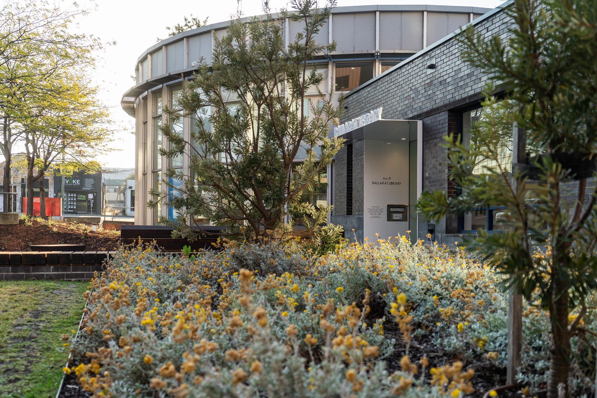 An external view of Ballarat Library, looking through plants in the garden.